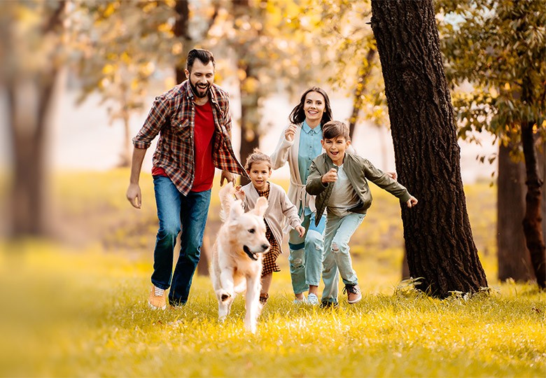 Animal Hospital in Asheboro, NC | Veterinarians in Asheboro, NC Animal Hospital in Asheboro, NC | Veterinarians in Asheboro, NC
